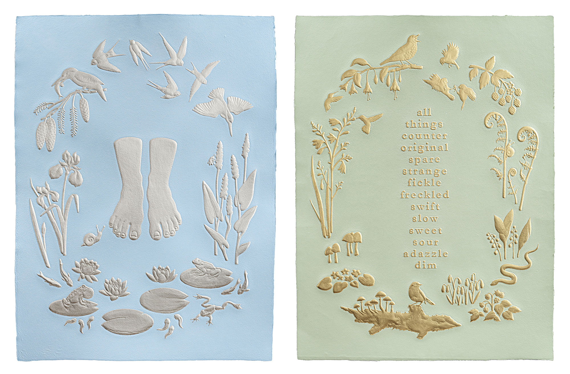 Triciawright Naturalist