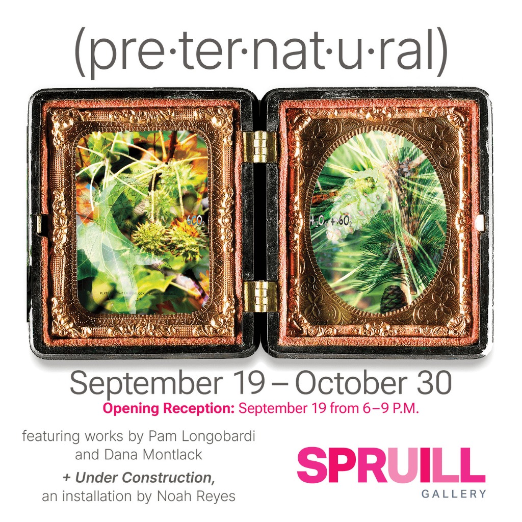 Untitled Design   2025 09 04T090225.522