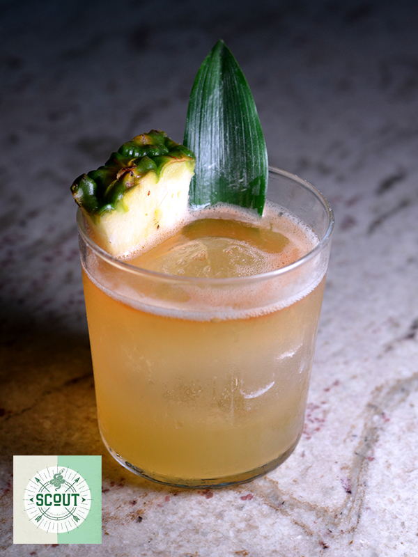 Reggae Sunday   Scout