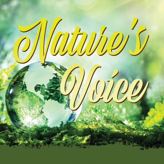 AWC   Nature's Voice   Square