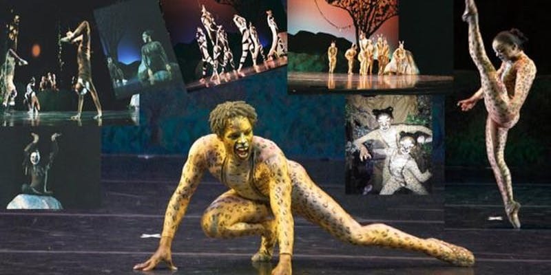 LeopardTalePromoPic