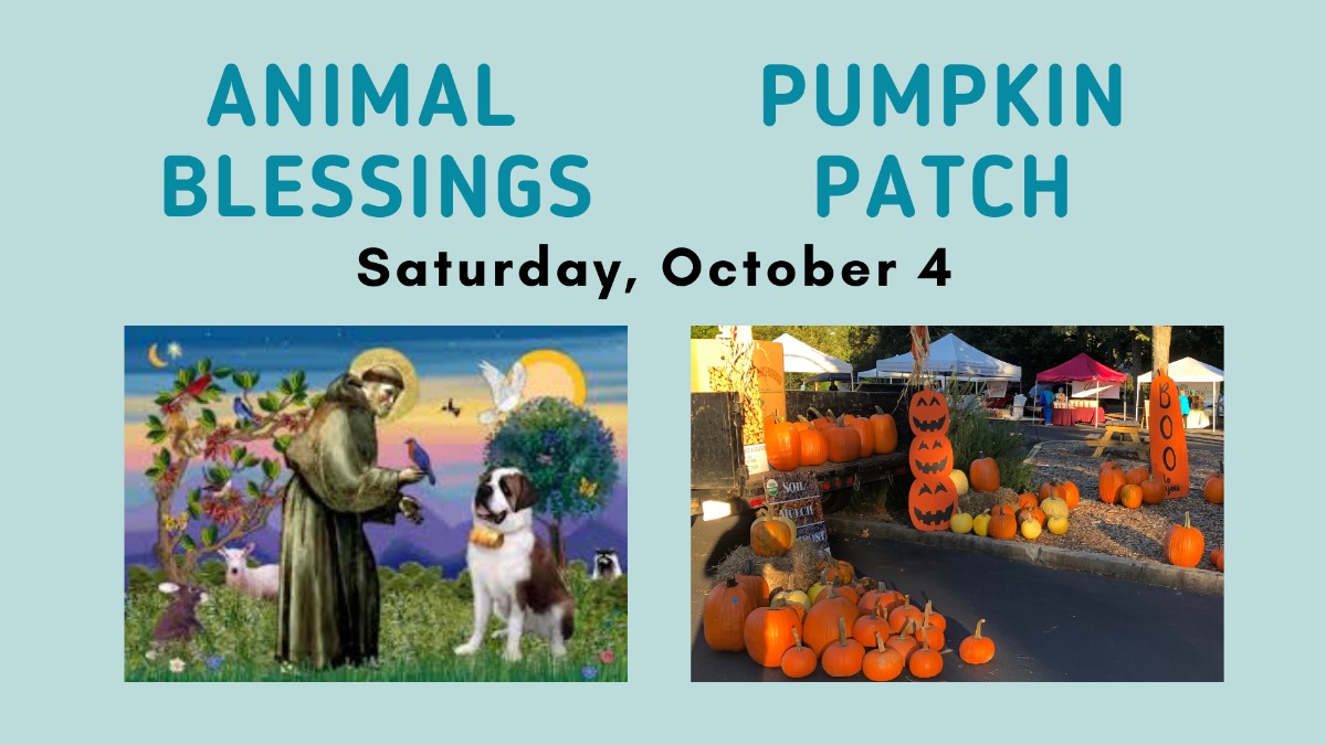 Pumpkin Patch & Animal Blessings