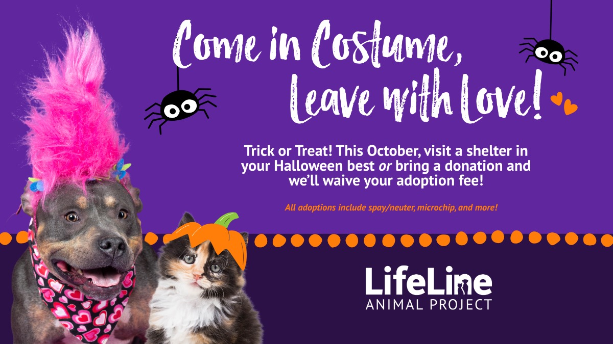 1920x1080 Oct25Promo