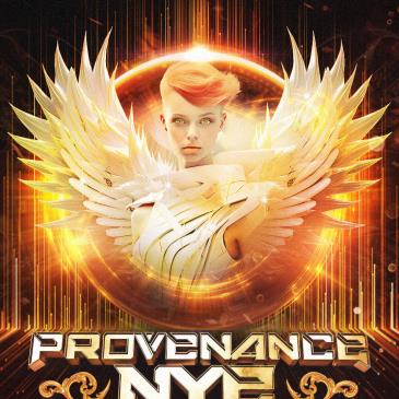 E5c800d2be26493bb25825e2e0f5a136.image!jpeg.703415.jpg.Provenance2025 IGS