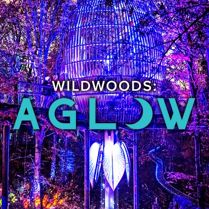 Fernbank Wildwoodsaglow2024 Calendarthumbnail 02