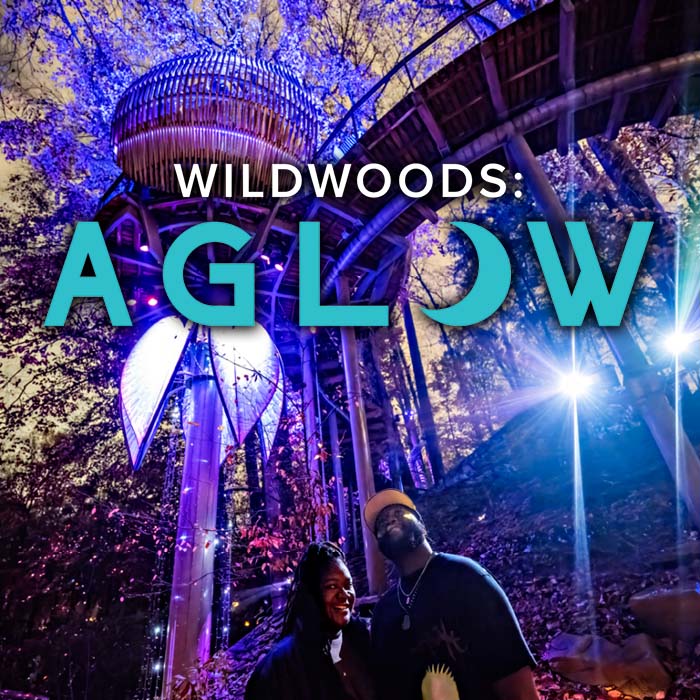 Fernbank Wildwoodsaglow2024 Calendarthumbnail 01