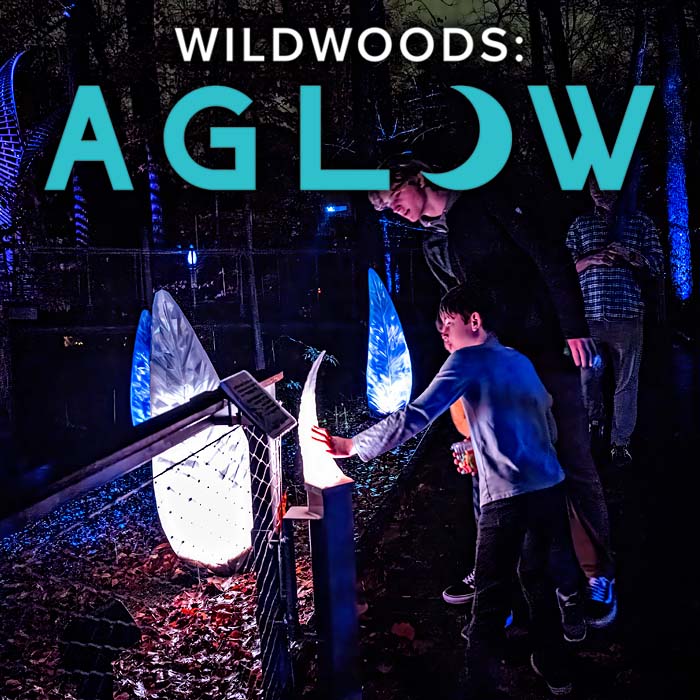 Fernbank Wildwoodsaglow2024 Calendarthumbnail 03