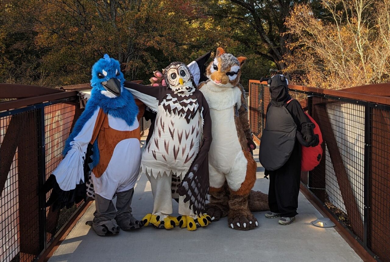 Halloween Hikes PXL 20231027 214023245 1280x860