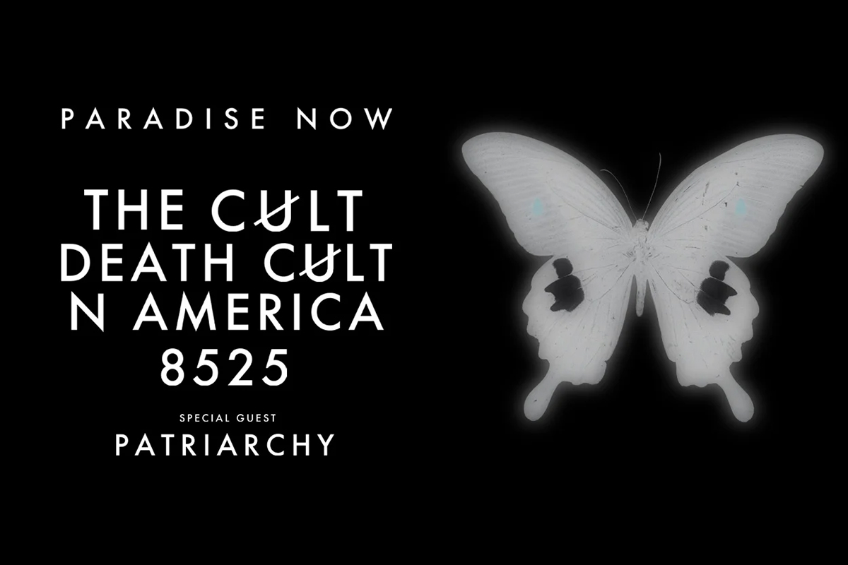 Cult25 1250x610 9b6e184ccb