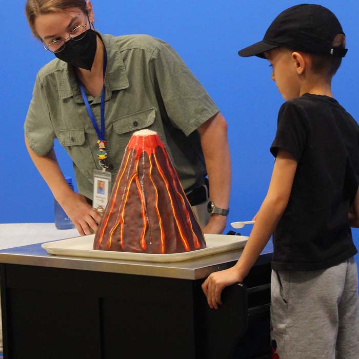 Fernbank Website Coe Excellentexperiments