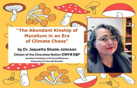 Bbb2be641bd030c7886327634236cec9c125cf10