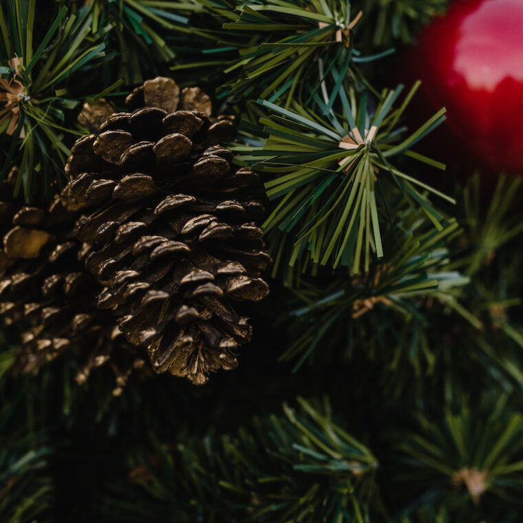 Gardens Activities 760x760