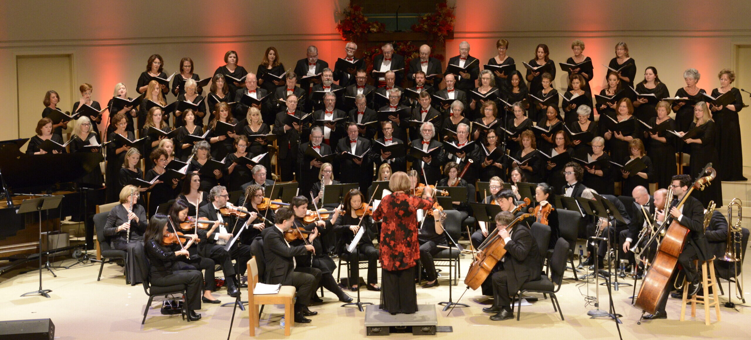 DSC5339 Scaled E1763482873571