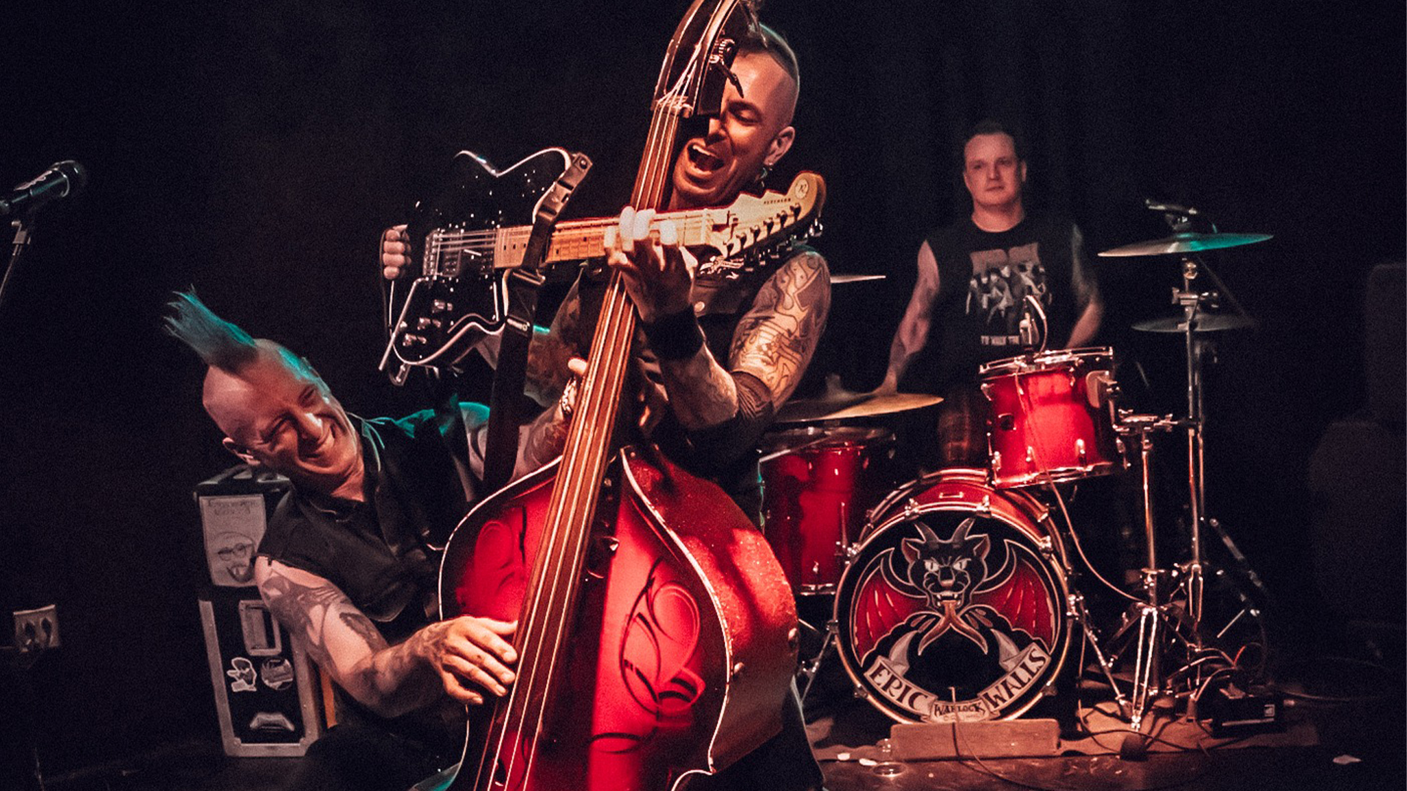 012926 Koffinkats ForSITE