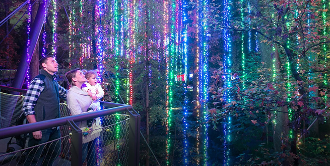 Garden Lights Holiday Nights 655