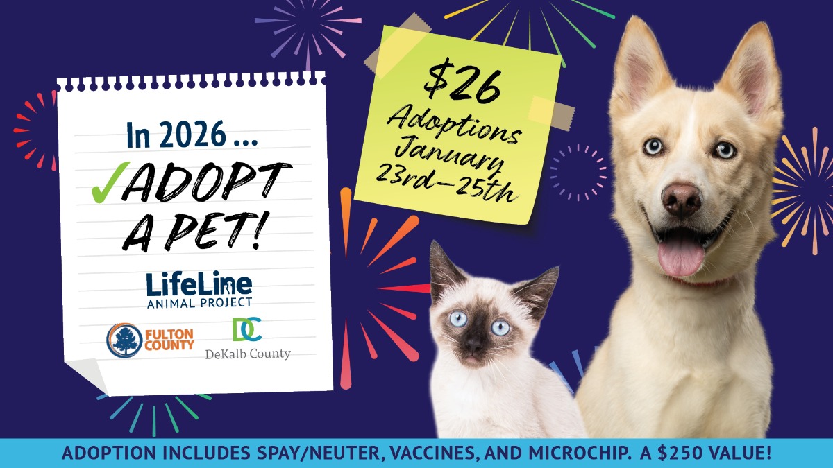 4113ll Jan26 SMP F 1920x1080 Logos