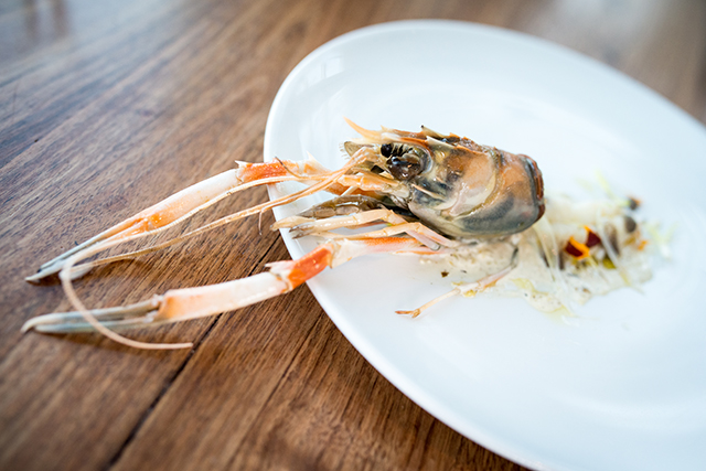 Seafood St. Cecilia1 2 52magnum