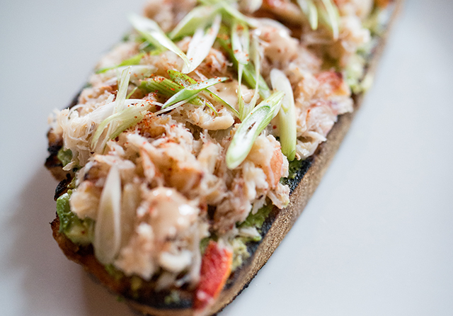 Small Lusca1 1 52magnum