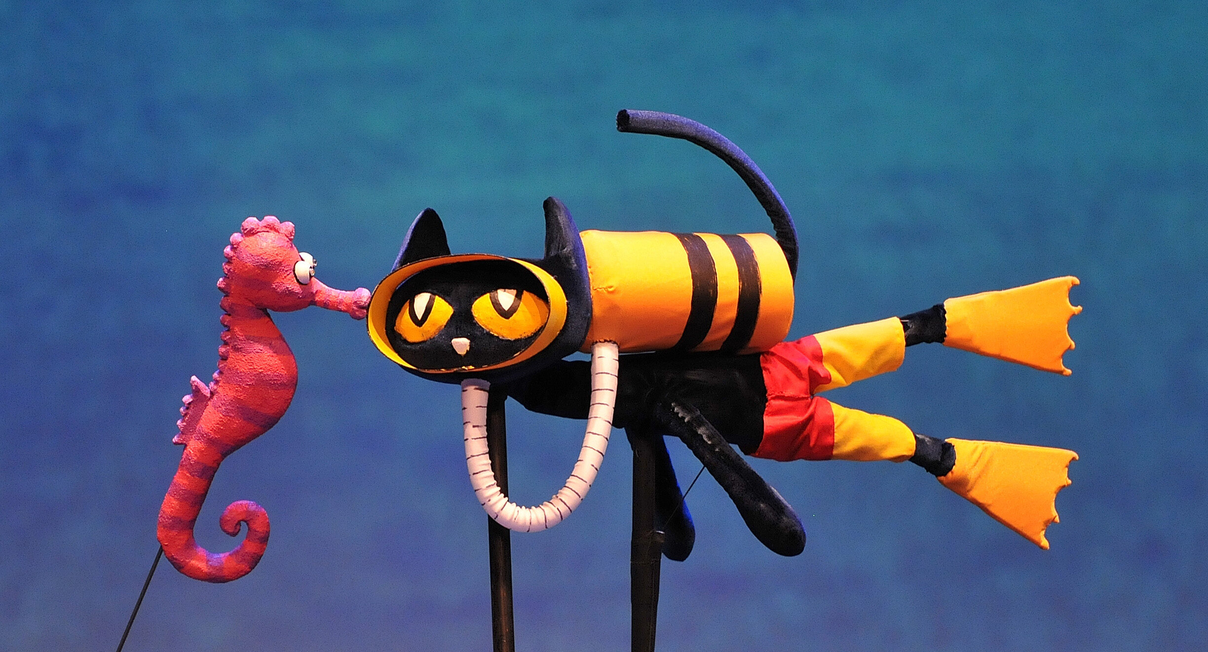 DSC 0757 1 E1755014847170