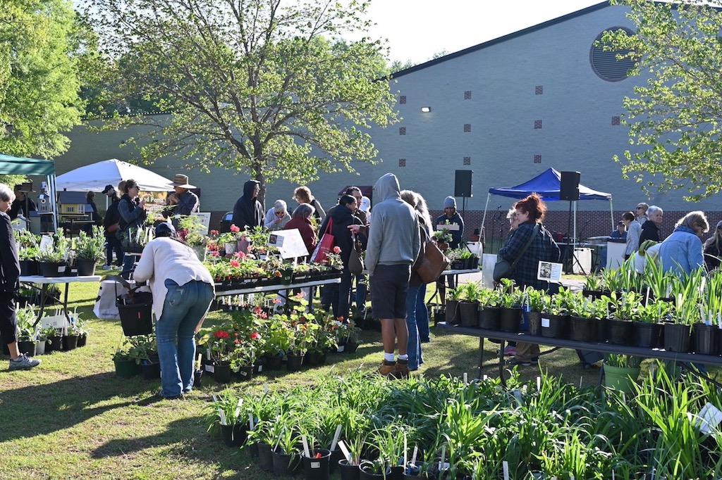 PLANTS PLANTS PLANTS