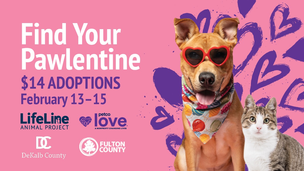 4113ll Valentines26 SMP F 1920x1080 1