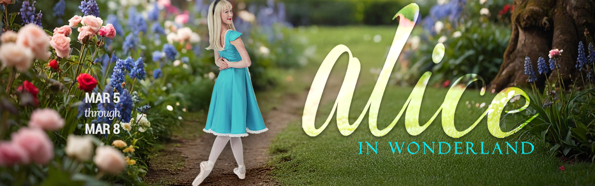Alice Landing Header