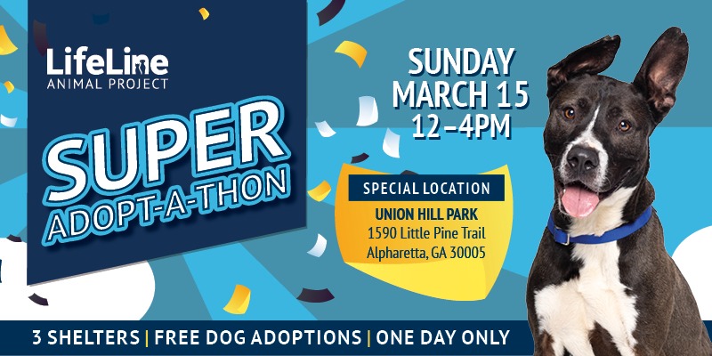 4113ll Super Adoptathon26 SMP F 800x400