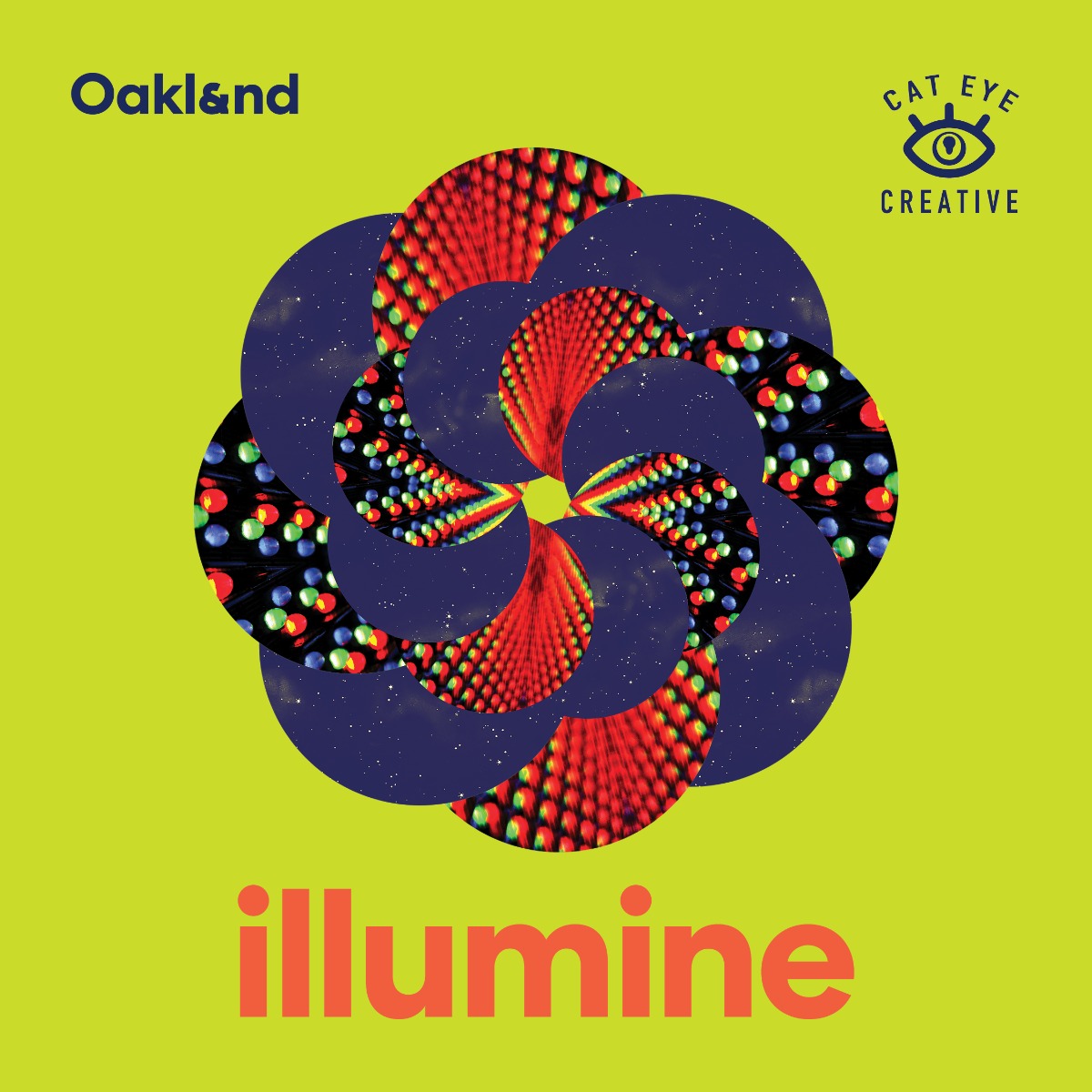 OAK Illumine 2026 Veevart 03