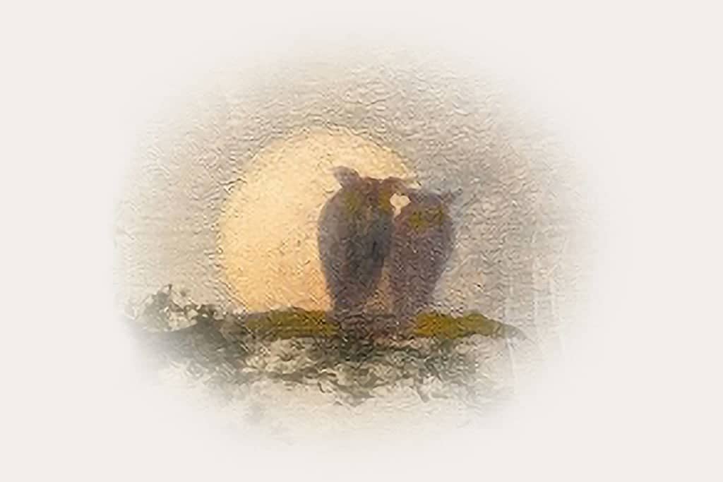 528a570e Dcf3 437c B3f1 6a7342336266 TABLET LANDSCAPE 3 2