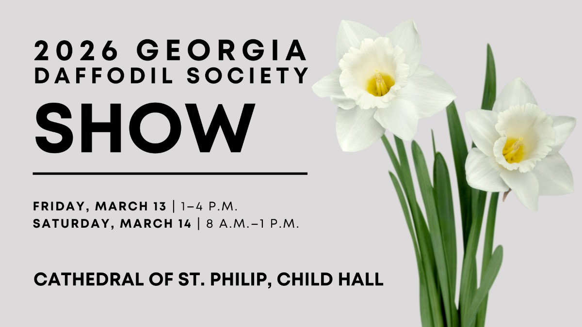 Georgia Daffodil Society (Facebook Event Banner)