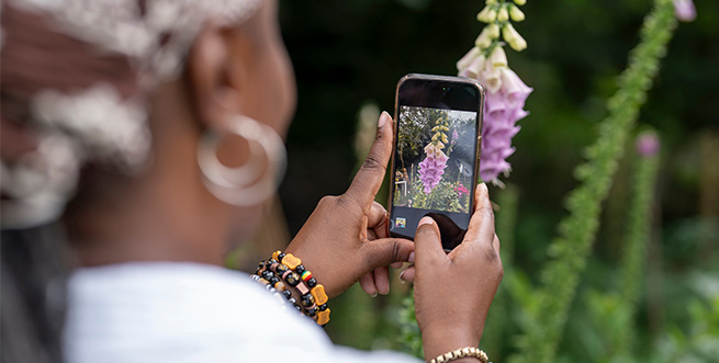 Phone Photography Tout