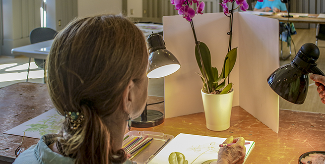 Drawing Orchids In Colored Pencil 655