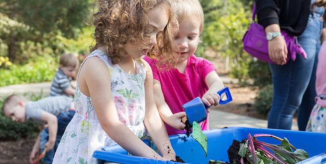 SpringBreakFamilyFun Tout