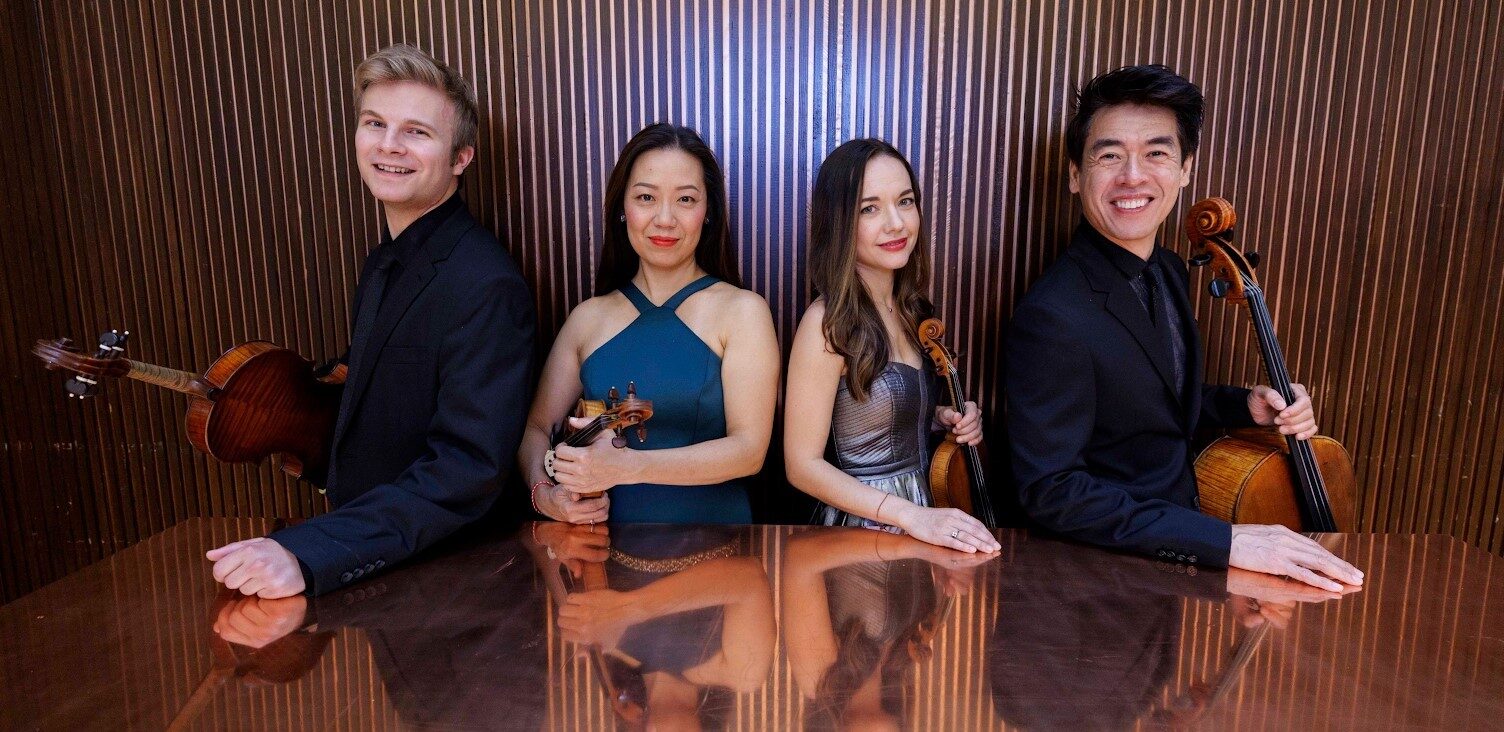 Vega Reflection E1770151234569