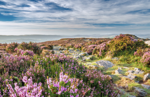 C0f6d02785f1be6851cc329380976c5ef4c02df6