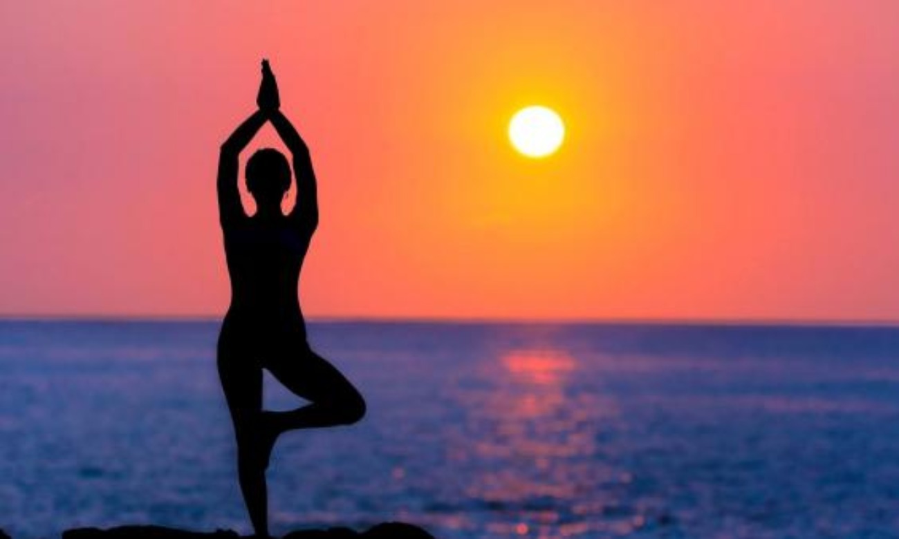 C973b35f Dfb5 493d 9073 402120cd599f92846c16 9158 4c8b A4ff 2a33cb72e1ef