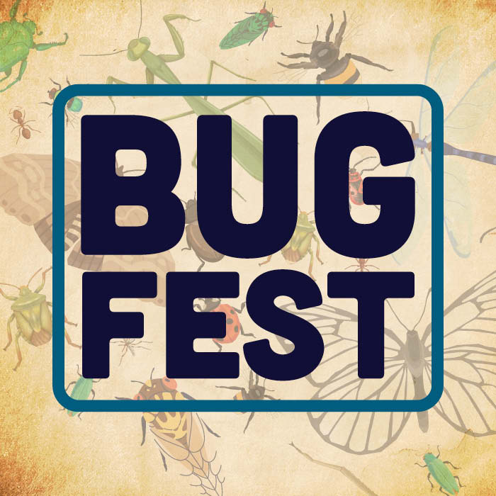 Fernbank Bugfest Calendarofevents