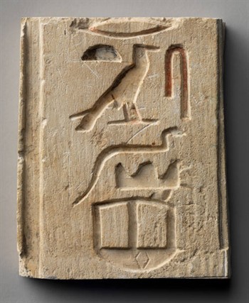 DgCo GKO1XxGqi3CWtsTdoFX