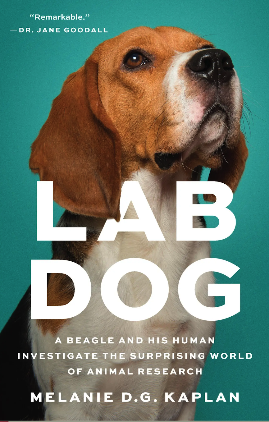 Event Default 1482 2