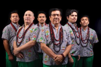 Img 1350 Large 345x230