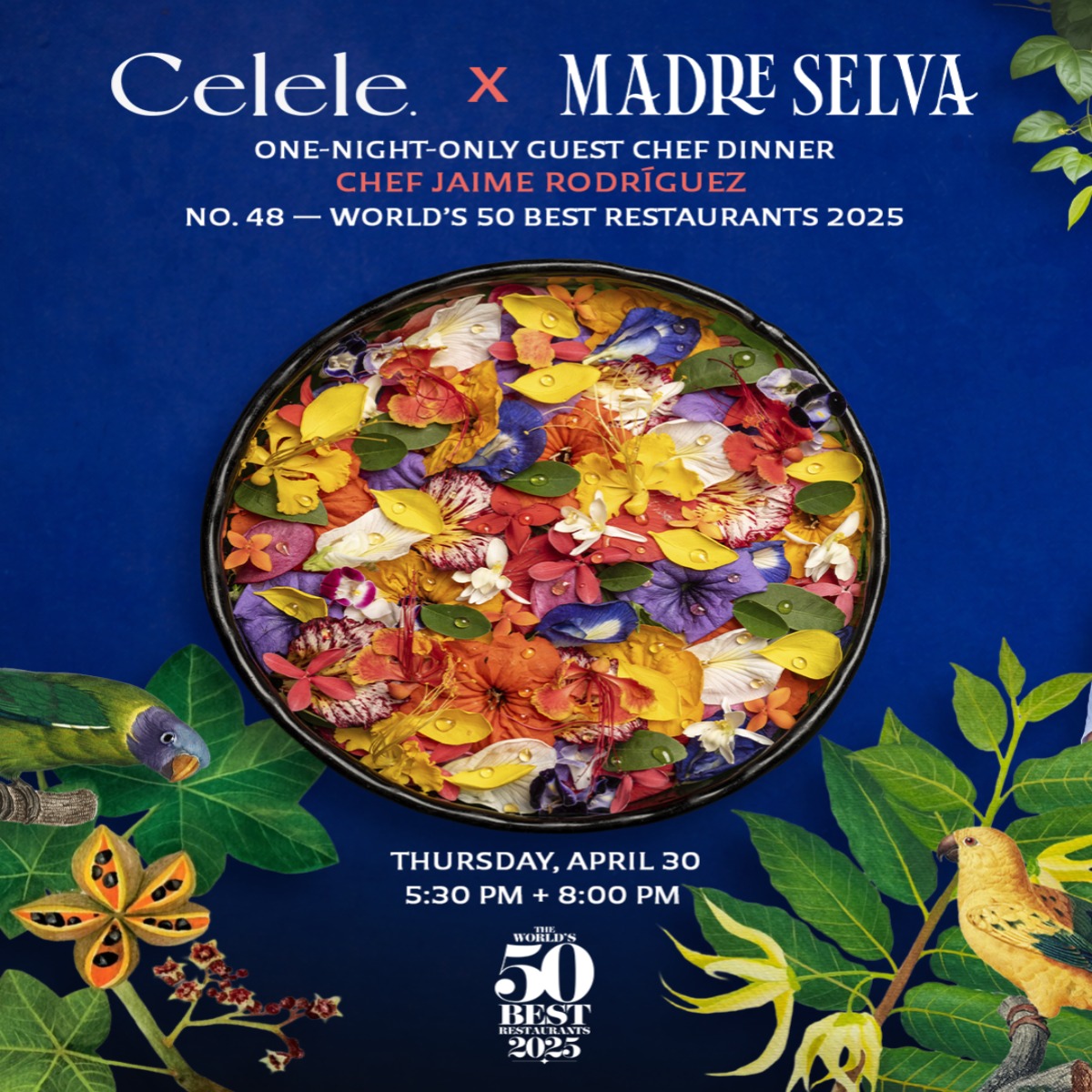 Celele X Madre Selva