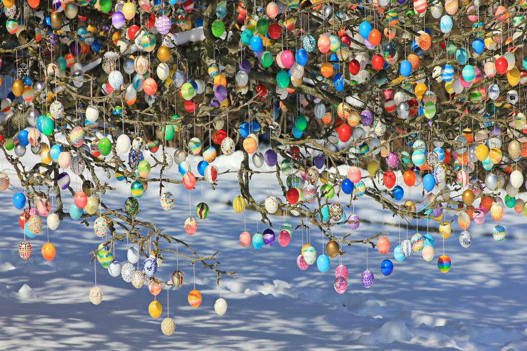 1920px Eierbaum In Saalfeld Saale.Thüringen..IMG 8774WI