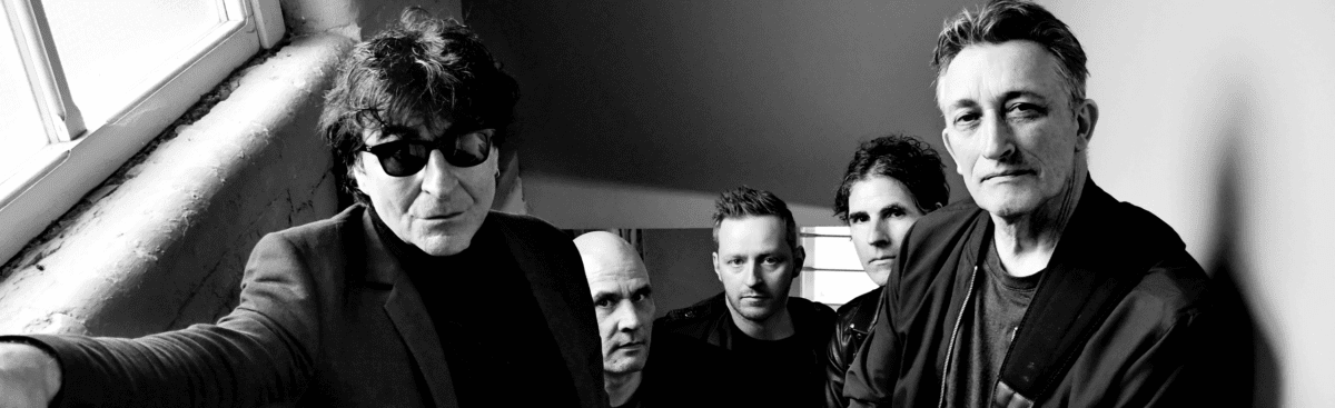 2564784 CHAMELEONS Scaled