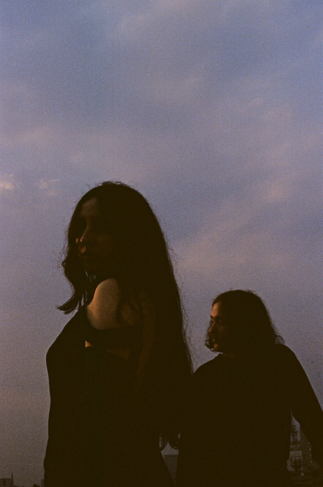 Mint+field