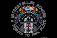 Interstellar Echoes WEB