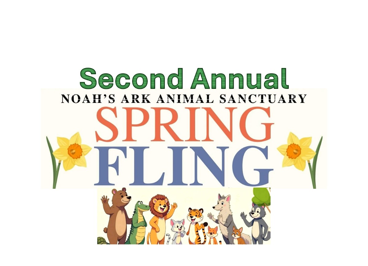 Second Annual Spring Fling Logo W Animals No Outline