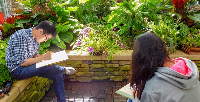 Capturing The Garden In Colored Pencil 655