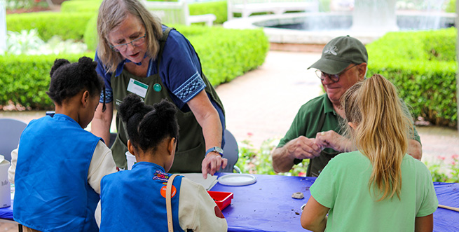 Girl Scouts Tout