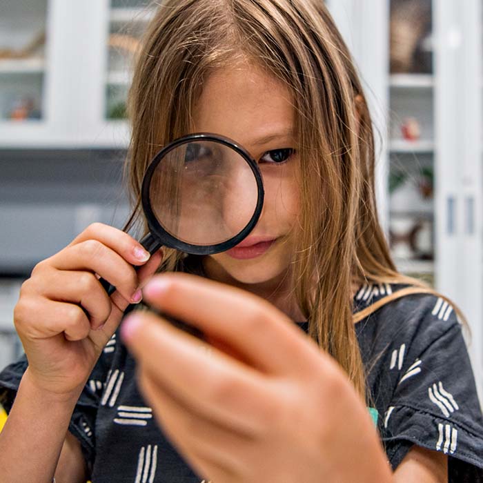Fernbank Adventuresinscience 2024 Activitylisting