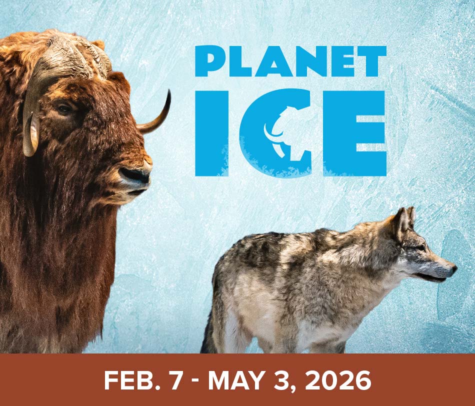 Fernbank Planetice Internalgraphics Exhibitinsert